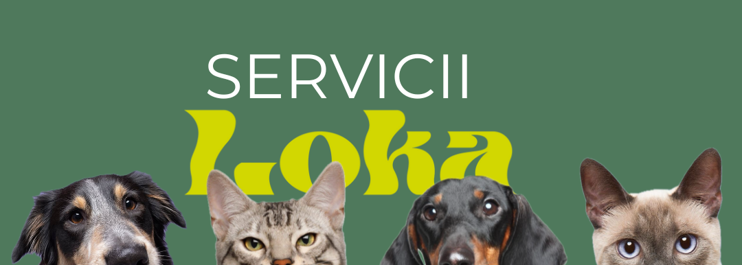 Servicii LOKA PET CARE