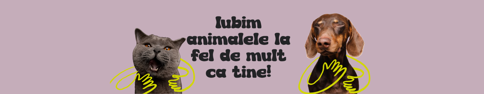 Găsește îngrijirea perfectă pentru animalul tău