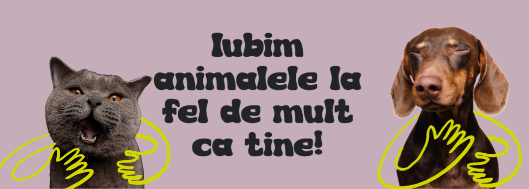 Găsește îngrijirea perfectă pentru animalul tău
