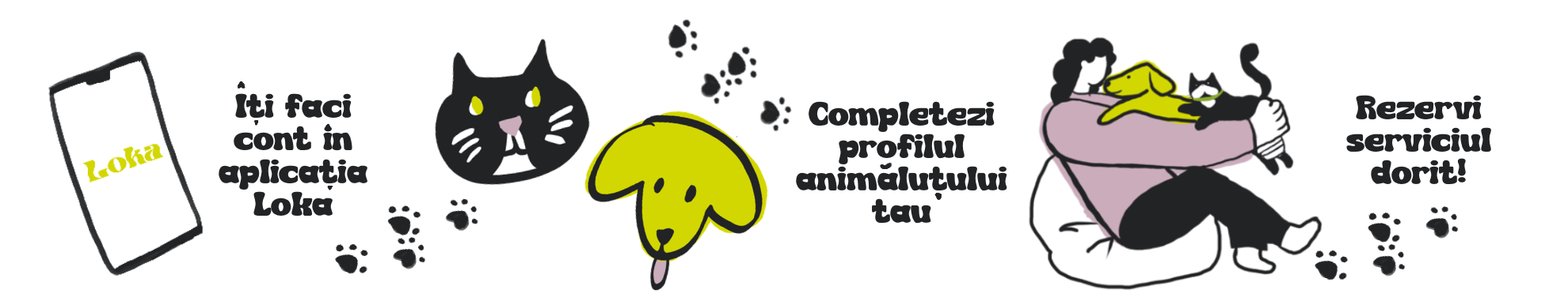 Parcurs în aplicație